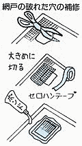 Ԍ˂̕C